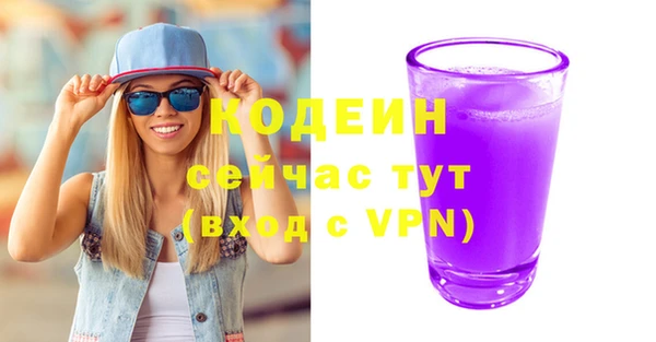 трава Корсаков