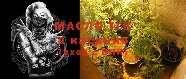 трава Корсаков