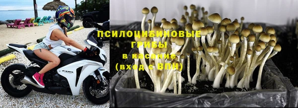 ешки Куйбышев