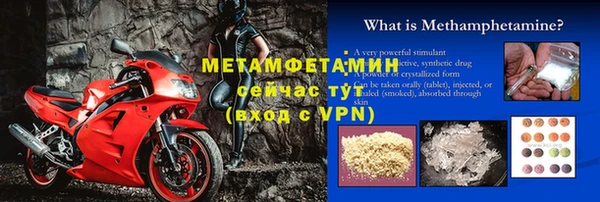 трава Корсаков