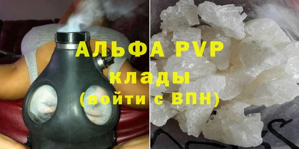 трава Корсаков