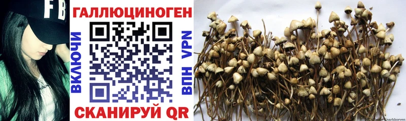 Галлюциногенные грибы Magic Shrooms  Мелеуз 