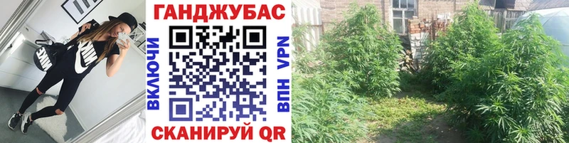 darknet официальный сайт  Мелеуз  Марихуана семена 